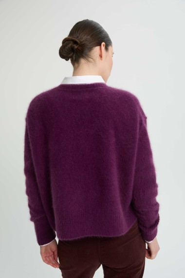 Pull Paloma